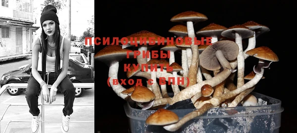 трава Алзамай