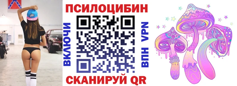hydra вход  Махачкала  Псилоцибиновые грибы MAGIC MUSHROOMS 