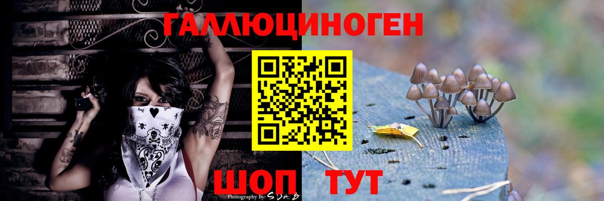 Галлюциногенные грибы Magic Shrooms Махачкала